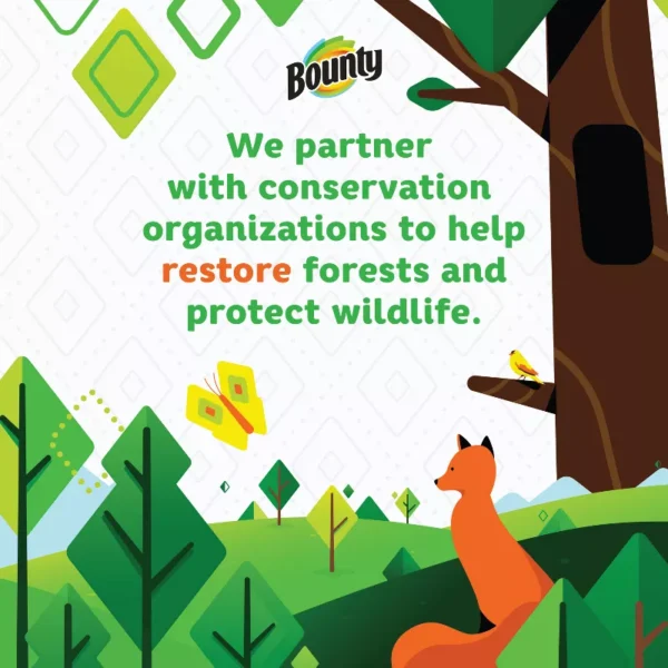 Bounty Select-A-Size Paper Towels