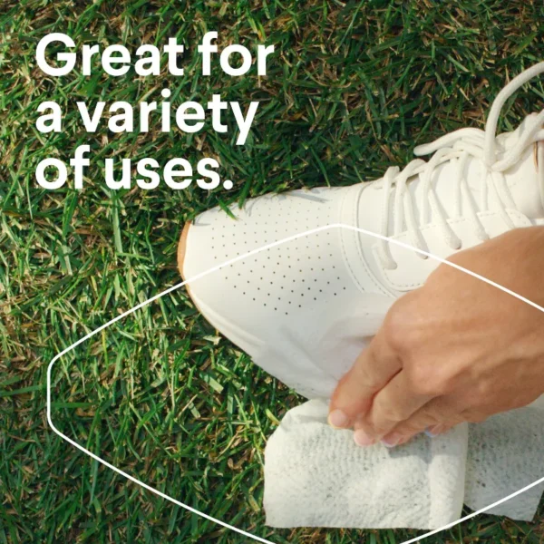 Clorox Disinfecting Wipes Value Pack - 300ct/4pk